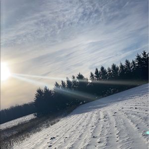 Meet your Posher, Lydianne